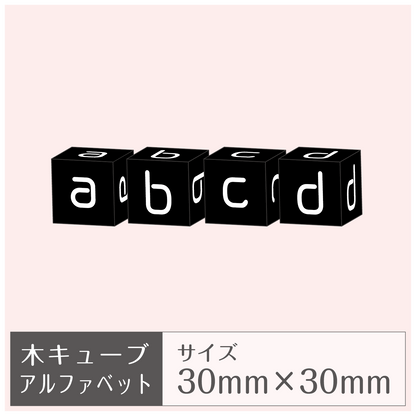 木製キューブ［アルファベット］